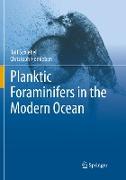 Planktic Foraminifers in the Modern Ocean