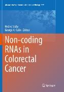 Non-coding RNAs in Colorectal Cancer