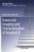 Nanoscale Imaging and Characterisation of Amyloid-β