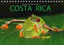 COSTA RICA - Tierische Momente (Tischkalender 2019 DIN A5 quer)