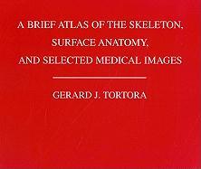 A Brief Atlas of the Human Skeleton, Surface Anatomy and Selected Medical Images