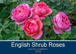 English Shrub Roses (Wall Calendar 2019 DIN A3 Landscape)