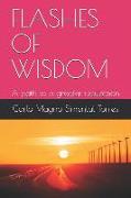 Flashes of Wisdom: A Path to a Greater Realization