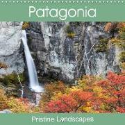 Patagonia - Pristine Landscapes (Wall Calendar 2019 300 × 300 mm Square)