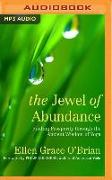 The Jewel of Abundance: Finding Prosperity Through the Ancient Wisdom of Yoga