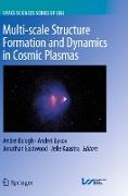 Multi-scale Structure Formation and Dynamics in Cosmic Plasmas