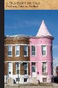 Row Houses, Baltimore, Maryland: A Traveler's Journal