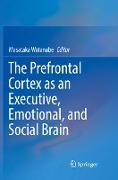 The Prefrontal Cortex as an Executive, Emotional, and Social Brain