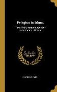 Pelagius in Irland: Texte Und Untersuchungen Zur Patristischen Litteratur