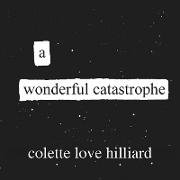 A Wonderful Catastrophe