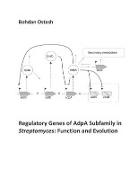 Regulatory Genes of AdpA Subfamily in Streptomyces: Function and Evolution