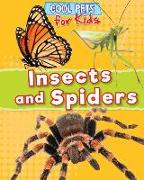 Insects and Spiders