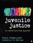 Juvenile Justice: An Active-Learning Approach