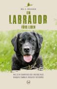 Ein Labrador fürs Leben