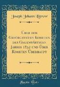 Über den Gefürchteten Kometen des Gegenwärtigen Jahres 1832 und Über Kometen Überhaupt (Classic Reprint)