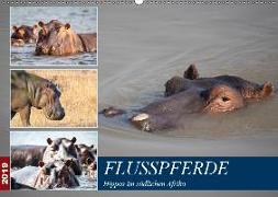 Hippos im südlichen Afrika (Wandkalender 2019 DIN A2 quer)