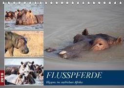 Hippos im südlichen Afrika (Tischkalender 2019 DIN A5 quer)