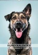 Hundekalender - Hunderassen im Portrait (Wandkalender 2019 DIN A2 hoch)
