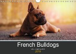 French Bulldog aktiv, verspielt, sportlich (Wandkalender 2019 DIN A4 quer)