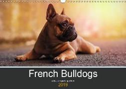 French Bulldog aktiv, verspielt, sportlich (Wandkalender 2019 DIN A3 quer)