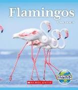 Flamingos (Nature's Children)