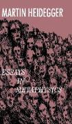 Essays in Metaphysics