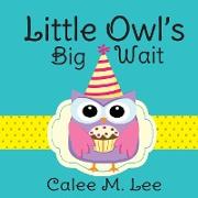 Little Owl's Big Wait