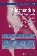 Mitochondria
