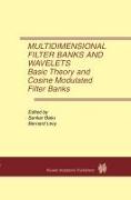 Multidimensional Filter Banks and Wavelets