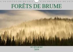 FORÊTS DE BRUME (Calendrier mural 2019 DIN A4 horizontal)