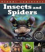 Visual Explorers: Insects and Spiders