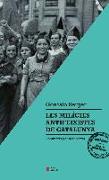 Les milícies antifeixistes de Catalunya : Voluntaris per la llibertat