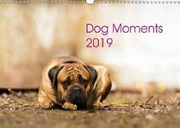 Dog Moments 2019 (Wandkalender 2019 DIN A3 quer)