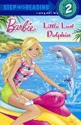 Little Lost Dolphin