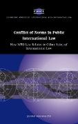 Conflict of Norms in Public International Law