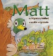 Matt: The Migratory Mallard * El Azulón Migratorio