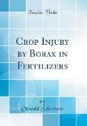 Crop Injury by Borax in Fertilizers (Classic Reprint)