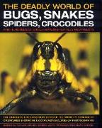 The Deadly World of Bugs, Snakes, Spiders, Crocodiles and Hundreds of Other Amazing Reptiles and Insects