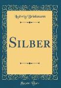 Silber (Classic Reprint)