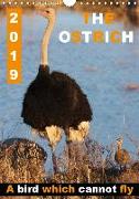THE OSTRICH A bird which cannot fly (Wall Calendar 2019 DIN A4 Portrait)