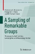 A Sampling of Remarkable Groups