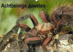 Achtbeinige Juwelen (Wandkalender 2019 DIN A2 quer)