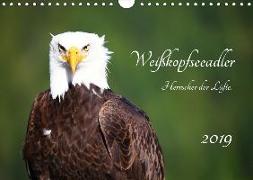 Weißkopfseeadler. Herrscher der Lüfte. 2019 (Wandkalender 2019 DIN A4 quer)