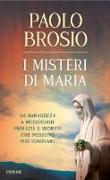 I misteri di Maria. Da Saragozza a Medjugorje profezie e segreti che nessuno può ignorare