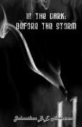 In the Dark: Before the Storm