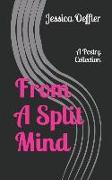 From a Split Mind: A Poetry Sampler