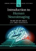 Introduction to Human Neuroimaging