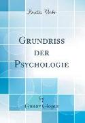 Grundriss der Psychologie (Classic Reprint)