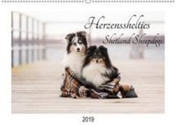 Herzensshelties - Shetland Sheepdogs (Wandkalender 2019 DIN A2 quer)