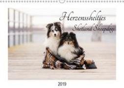 Herzensshelties - Shetland Sheepdogs (Wandkalender 2019 DIN A3 quer)